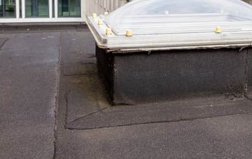 disadvantages of Lustleigh flat roofs