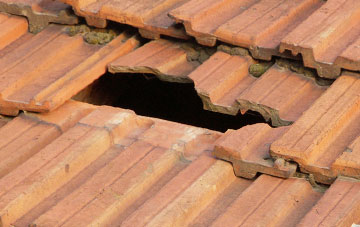 roof repair Lustleigh, Devon