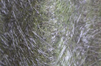 Lustleigh fibreglass roof work